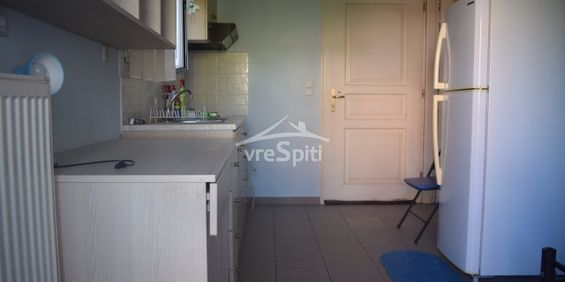 Περιγραφή - Photo 3