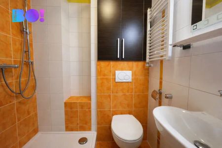 Pronájem bytu 1+kk o velikosti 20 m - Photo 2