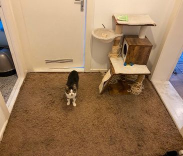 Helle 40m2 Altbauwohnung Zwischenmiete 15.01 - 15.03.2026 - Photo 1