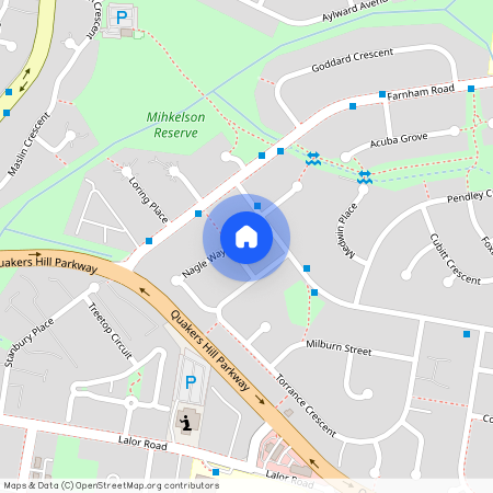 6 Crispin Place, Quakers Hill NSW 2763