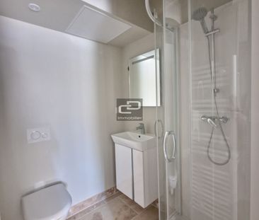 Location Appartement 1 pièce 13m² COUZON AU MONT D OR 69270 - Photo 4