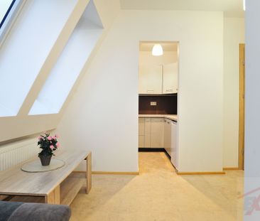 Kawalerka świeżo po remoncie (437392) - Zdjęcie 1