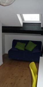 Location Appartement 1 pièce 19m² ST ETIENNE 42100 - Photo 4