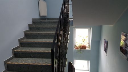 Dom na wynajem, ul. Rolna, Warszawa Mokotów - Photo 5