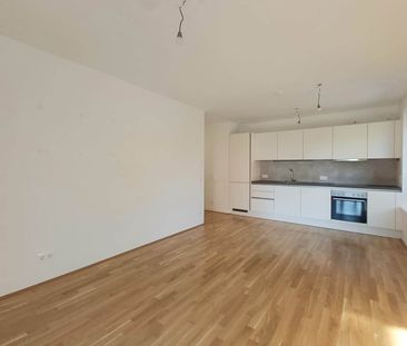 Dein neues Gartenparadies: Moderne 2-Zimmerwohnung mit eigenem Garten - Foto 3