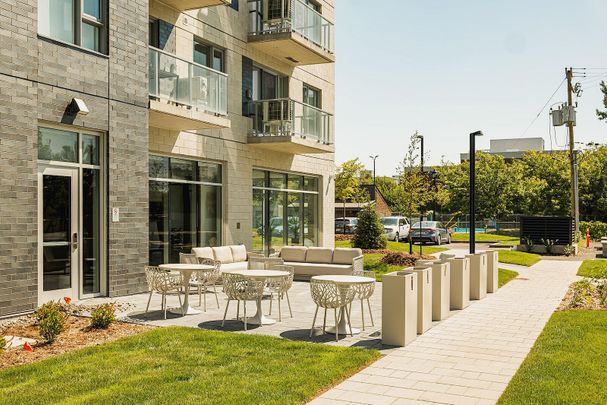 Monarc Collection - Photo 1