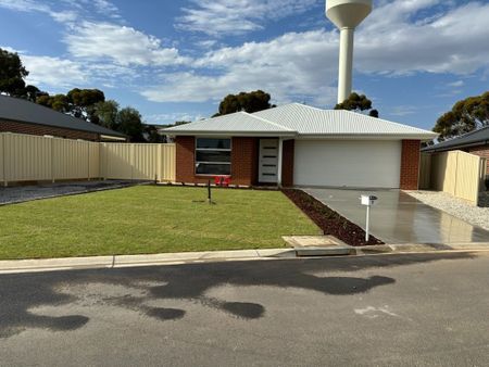 9 Santolina Drive, Mildura VIC 3500 - Photo 4