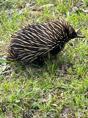 Martins Creek - Photo 5