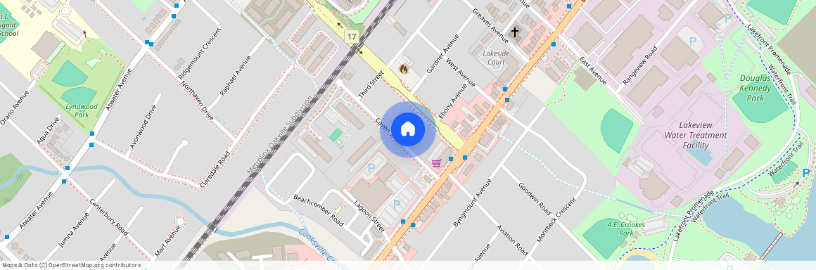 1039 Caven Street Unit# Bsmt, Mississauga