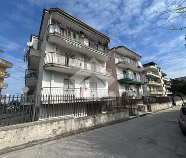 Trilocale in affitto - Photo 2