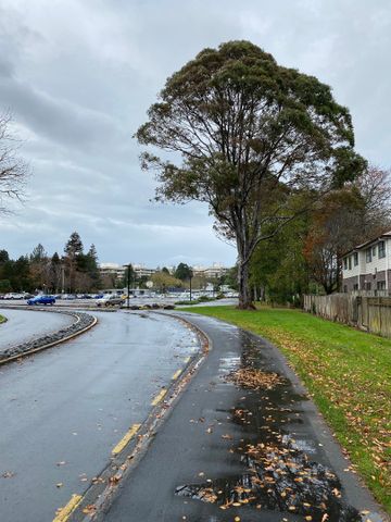 These are near new studio rooms, within walking distance to local shops and University. - Photo 5