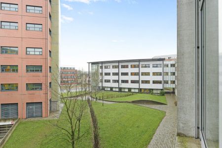 Wij Boreel - Photo 3