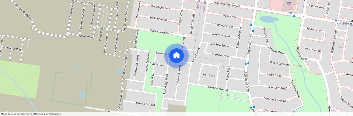 20 Callicoma Street, Vic 3064, Mickleham