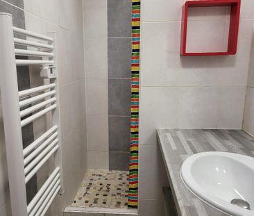 Location Appartement 1 pièce 15m² POITIERS 86000 - Photo 5