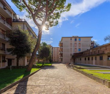 Tra laguna e mare - Photo 4