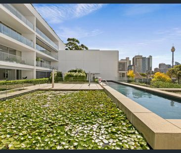 530/50 Burton Street, Darlinghurst, NSW 2010 - Photo 1