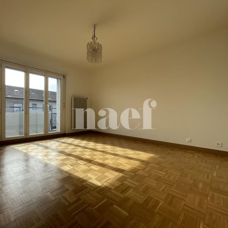 3 Zimmer, 65 m², 2. Stock - Foto 1