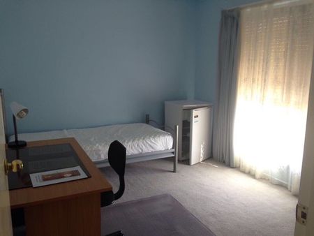 Flora Hill - Photo 3