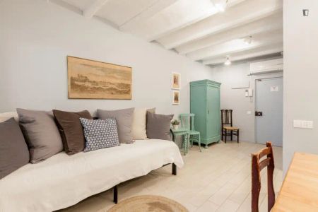 Apartamento de alquiler en Barri Gòtic - Foto 3