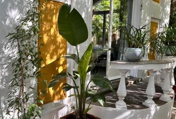 Villa-Parioli: Beautiful independent house with large private garden and terraces. Spacious living, formal dining, study-music room, sun room, 5 bedrooms, 4 bathrooms, parking. rif 163