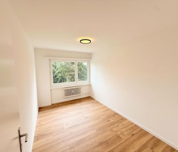 Frisch renovierte 4.5 Zimmer-Wohnung mit herrlicher Aussicht - Photo 2