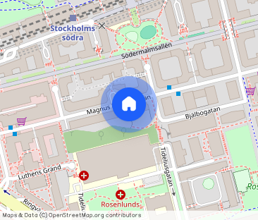 Magnus Ladulåsgatan 26, Södermalm - Photo 1