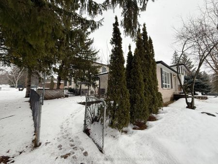 165 Carlson Drive #Lower - Photo 4