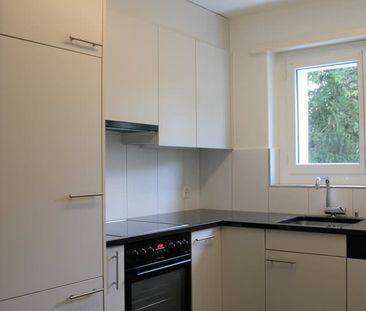 1.5 Zimmer, 44 m² - Photo 1