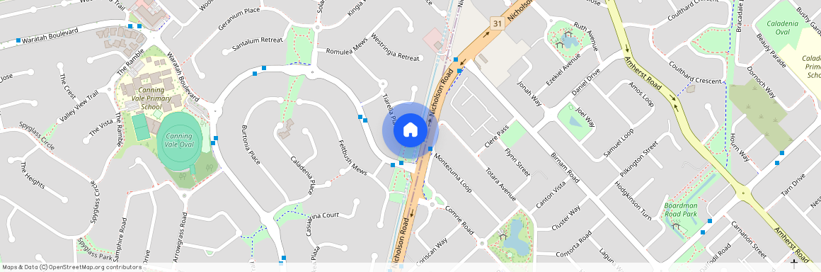 16 Tiarella Place, WA 6155, Canning Vale