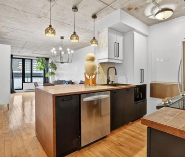 Appartement à louer - Montréal (Ville-Marie) (Centre) - Photo 4
