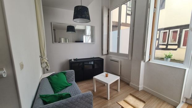Location Appartement 1 pièce 25m² ORLEANS 45000 - Photo 1