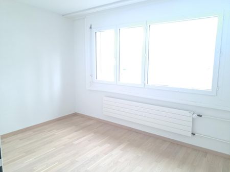 RENOVATED APARTMENT WITH BALCONY AND ELEVATOR - Foto 3