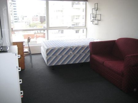 FURNISHED SPACIOUS STUDIO AT CITY CENTRAL! - Photo 3