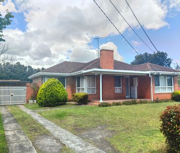 12 Wordsworth Avenue, Clayton South VIC 3169 - House For Rent | Domain - Photo 4