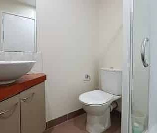 Central Auckland 1BR fully furnished - Photo 4