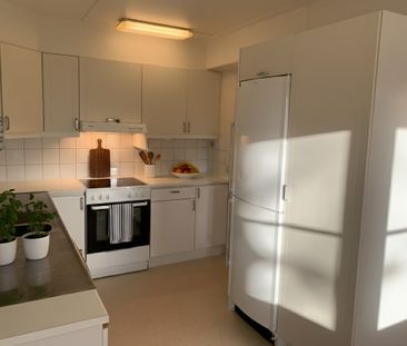 Otteshagen: Etta i lummigt område på nedre botten - Photo 2