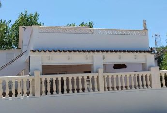 Oliva