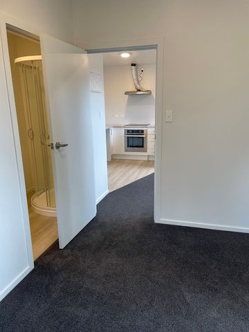 559A George St, North Dunedin - Photo 3