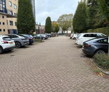 Swammerdampad - Foto 2