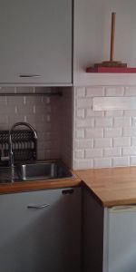 Location Appartement 1 pièce 28m² ANNEMASSE 74100 - Photo 3