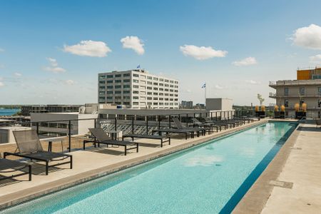 2180 Rue Ste-Catherine E., #349 - Photo 5