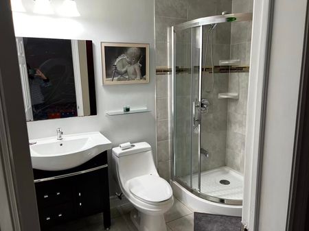 For Lease - 3441 Sanderling Crescent Unit# Bsmt #1, Mississauga, Ontario - Photo 3