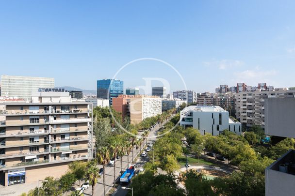 Apartment for Rent in Marina del Port - Photo 1