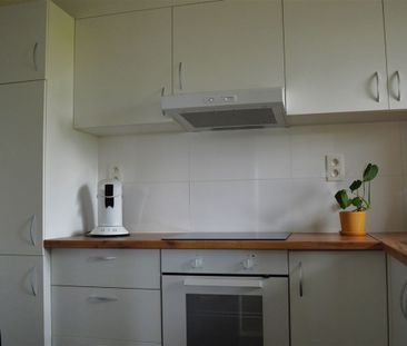 Appartement te huur in Lokeren - Photo 5