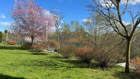 Warszewo, Duńska, Szczecin - Zdjęcie 2