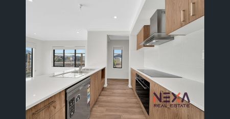 3 Beds, House for Rent in Donnybrook - Photo 3