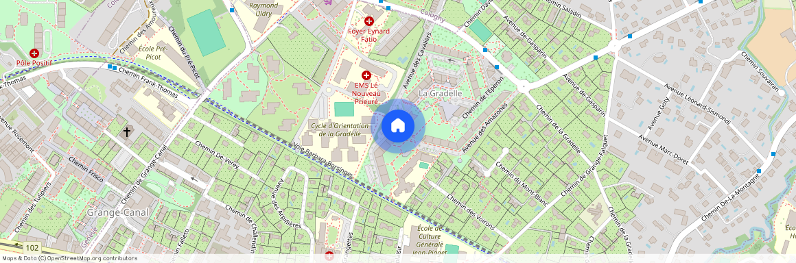 Avenue des Cavaliers 13, 1224 Chêne-Bougeries