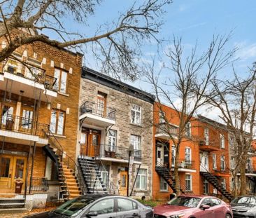 Appartement à louer - Montréal (Le Plateau-Mont-Royal) (Le Plateau-... - Photo 5
