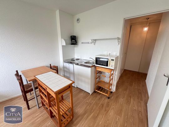 Location Appartement 1 pièce 20m² LE MANS 72000 - Photo 1