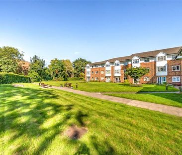 Cedar Court, Addlestone - 1 bedroomProperty for lettings - Seymours - Photo 6